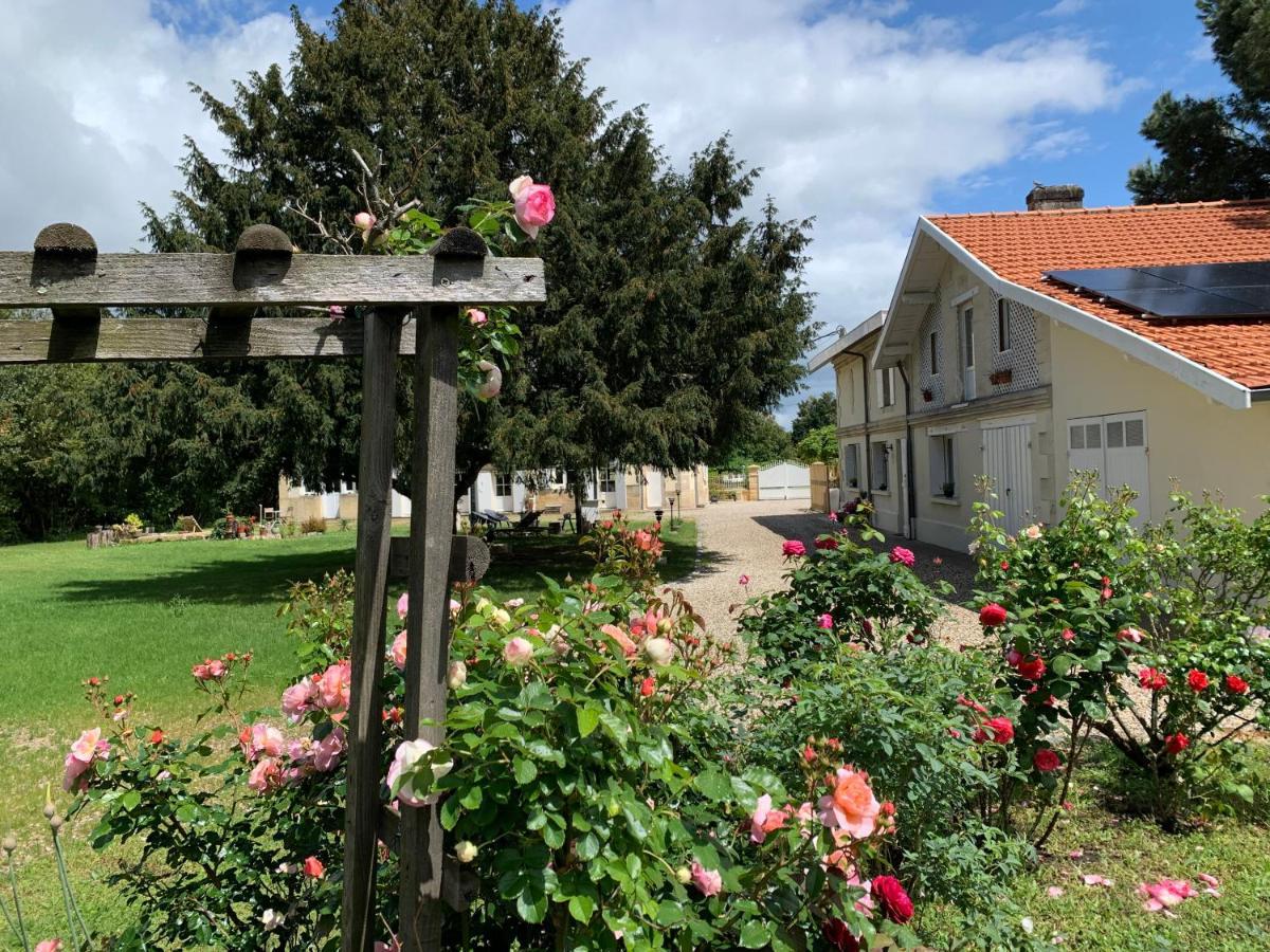 Batisse En Pierre XVII Siecle 115 M² Avec Terrasse Villa Ambares-et-Lagrave Luaran gambar